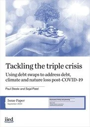 Tackling the triple crisis. Using debt swaps to address debt, climate and nature loss post-COVID-19