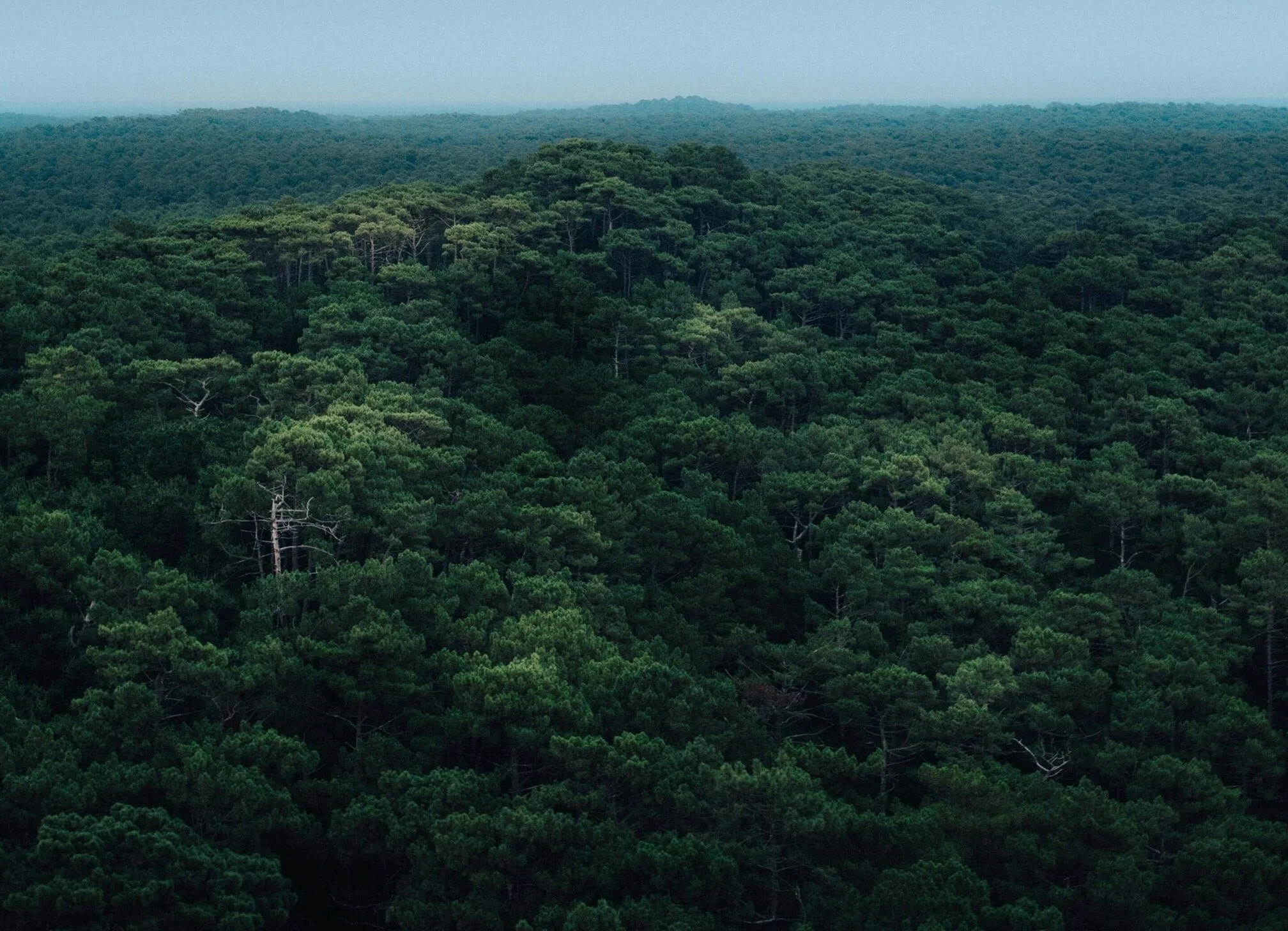 CFA WEBINAR: VALUING NATURE CONSERVATION