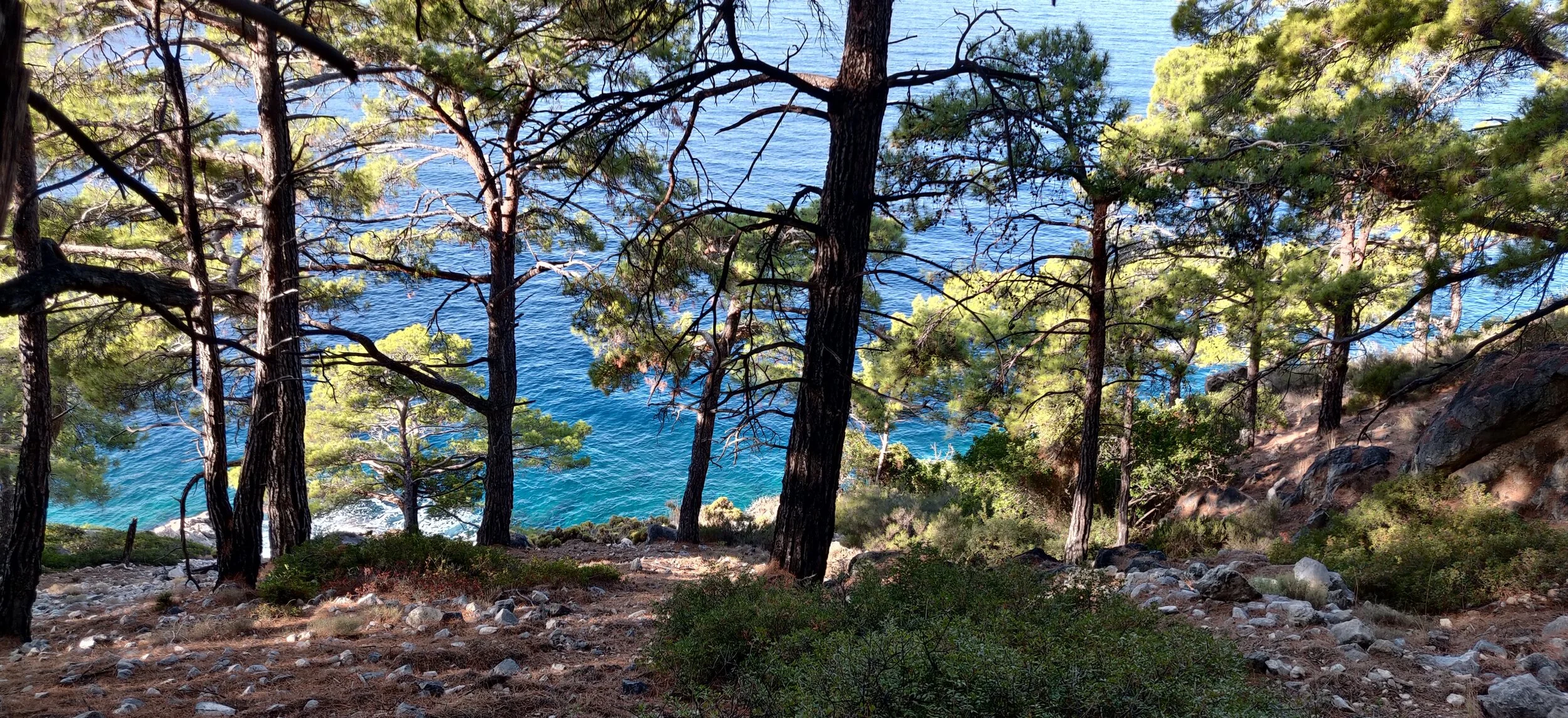 &nbsp;Protecting the global ocean for biodiversity, food and climate&nbsp;