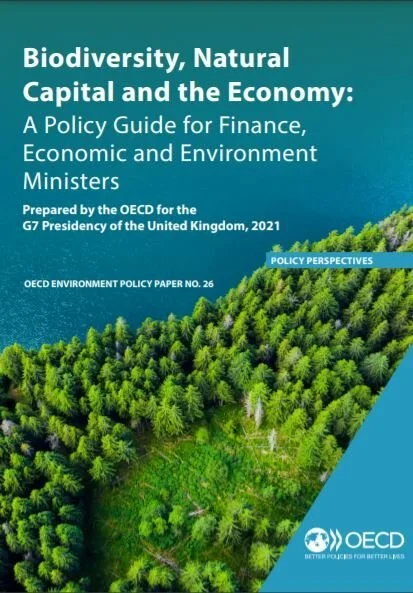 Biodiversity, Natural Capital, and the Economy