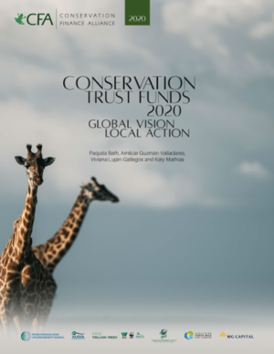Interview on Conservation Trust Funds 2020: Global Vision - Local Action