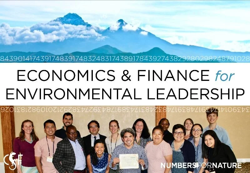 Economics &amp; Finance for Environmental Leadership : Early Bird - Last day to register!
