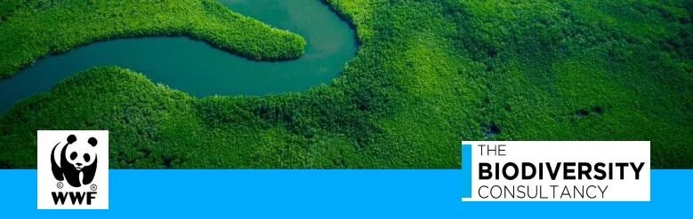 Public Development Banks and Biodiversity