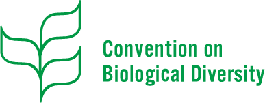 Synthesis of discussions during "The Financial Sector and the Post-2020 Global Biodiversity Framework"