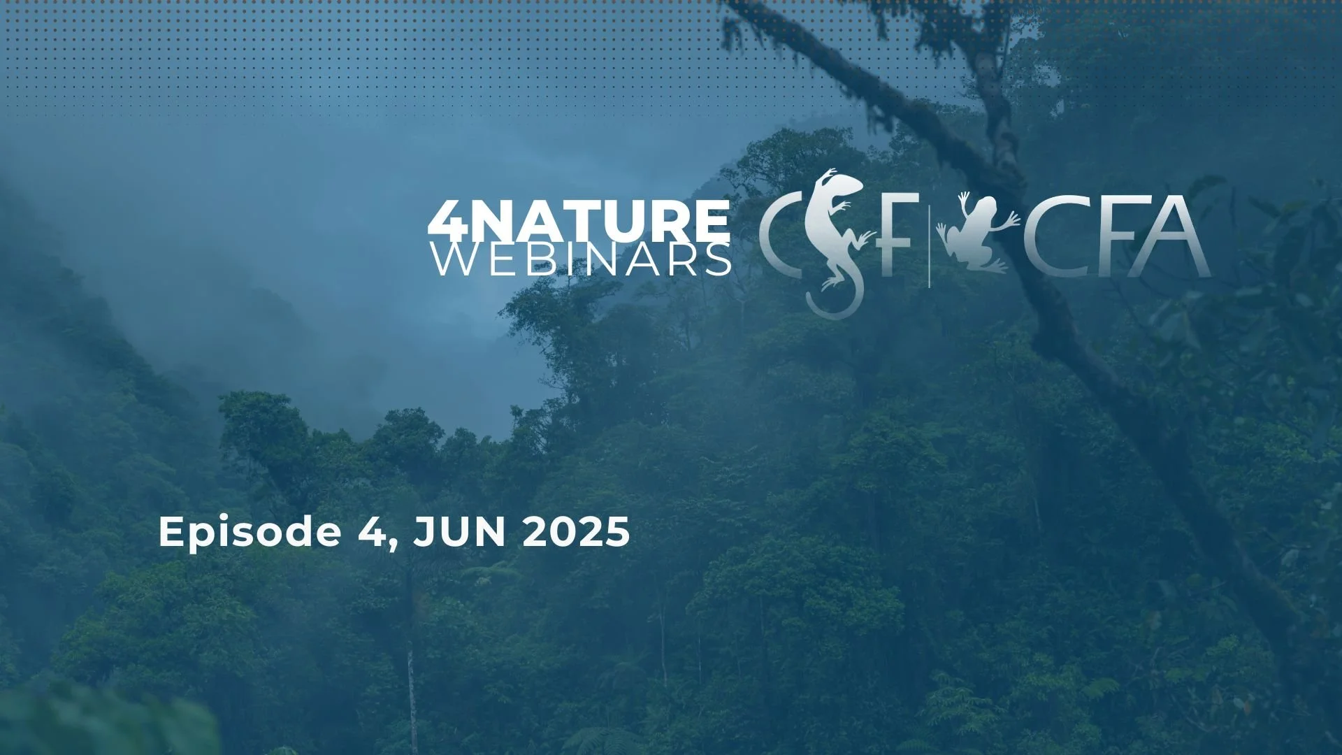 Practice guidance for protected and conserved area finance