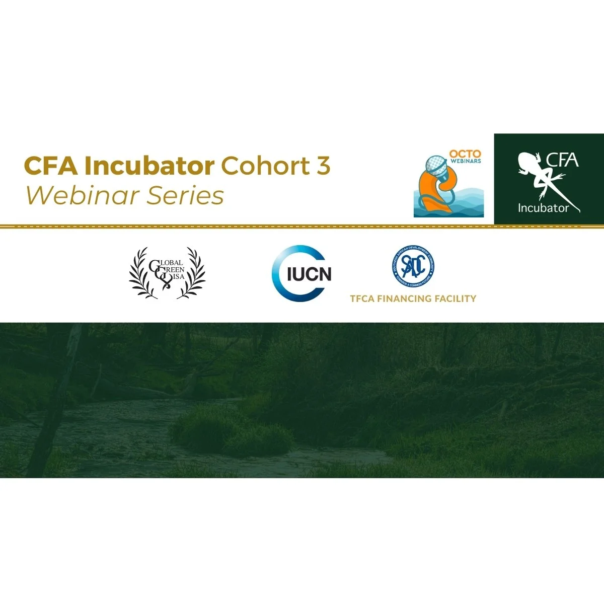 CFA Incubator Showcase #3