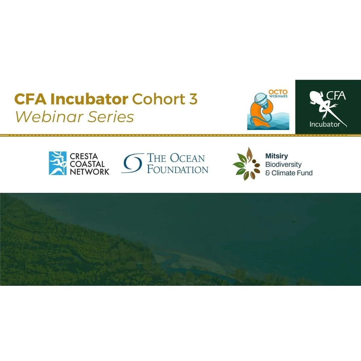 CFA Incubator Showcase #4