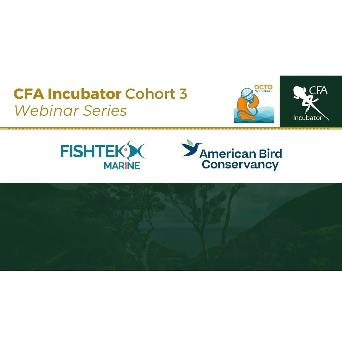 CFA Incubator Showcase #5