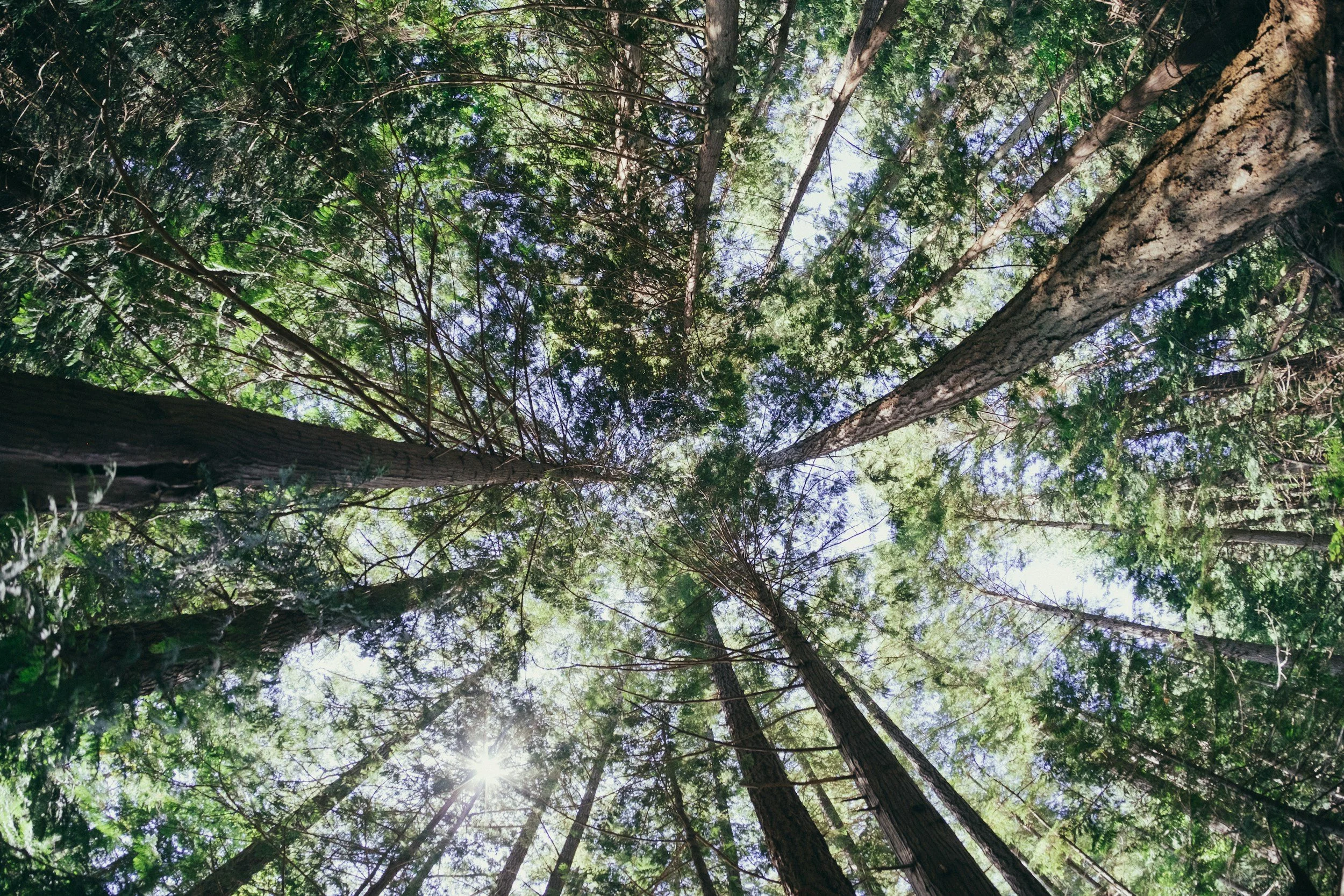 unsplash-image-28GVZxkflMg.jpg
