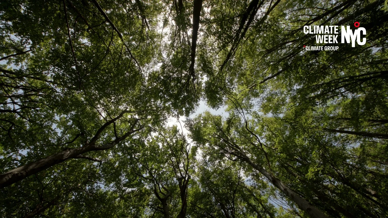 What's Next in Innovative Finance for Nature? From Ideas to Investment