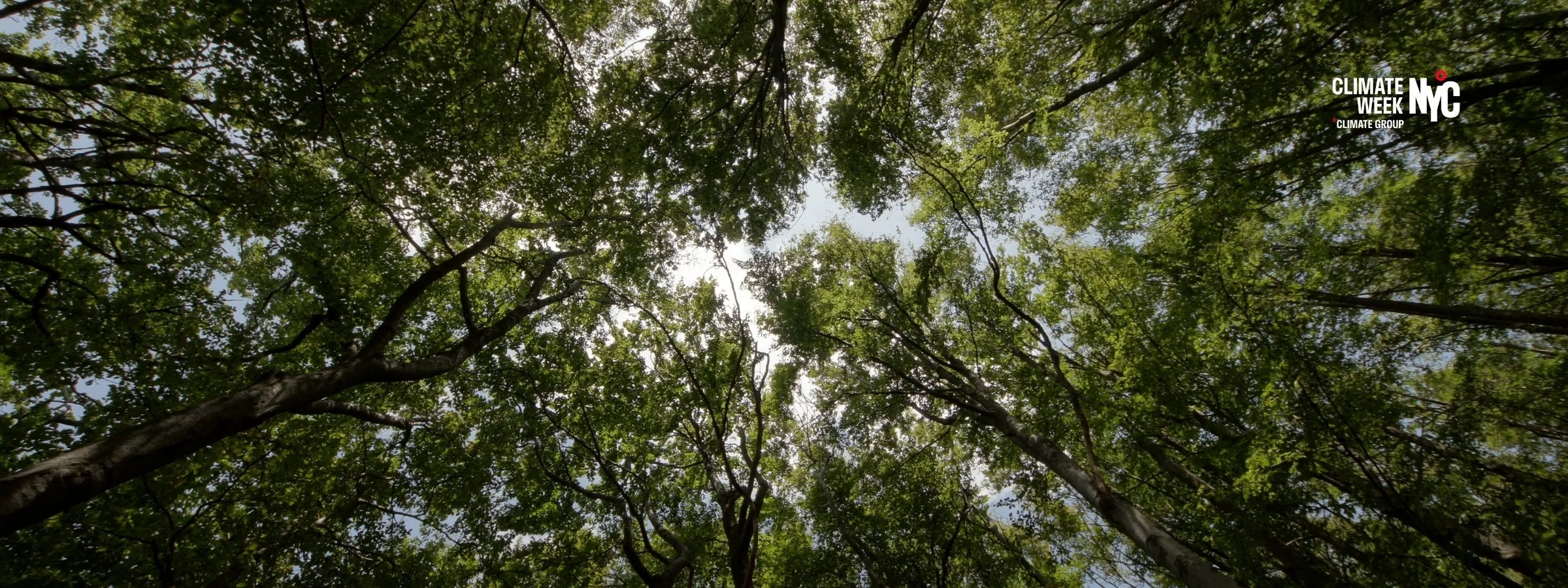 What's Next in Innovative Finance for Nature? From Ideas to Investment