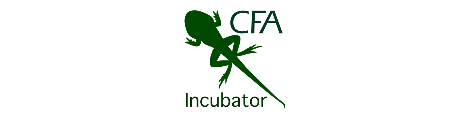 Announcing the 2025 CFA Incubator Cohort!