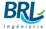 logo brl - Béatrice de Abreu.png