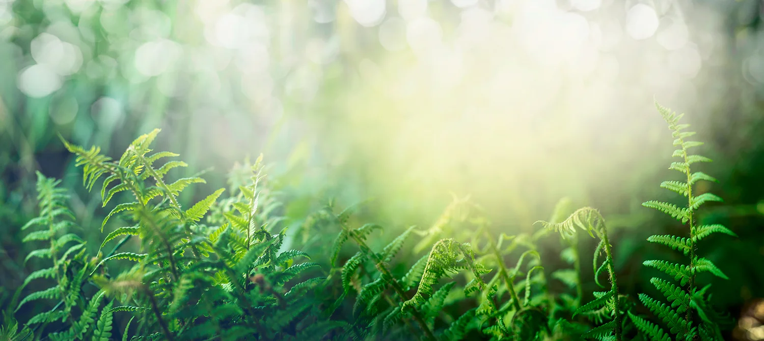 AdobeStock_115423280_RS.jpg