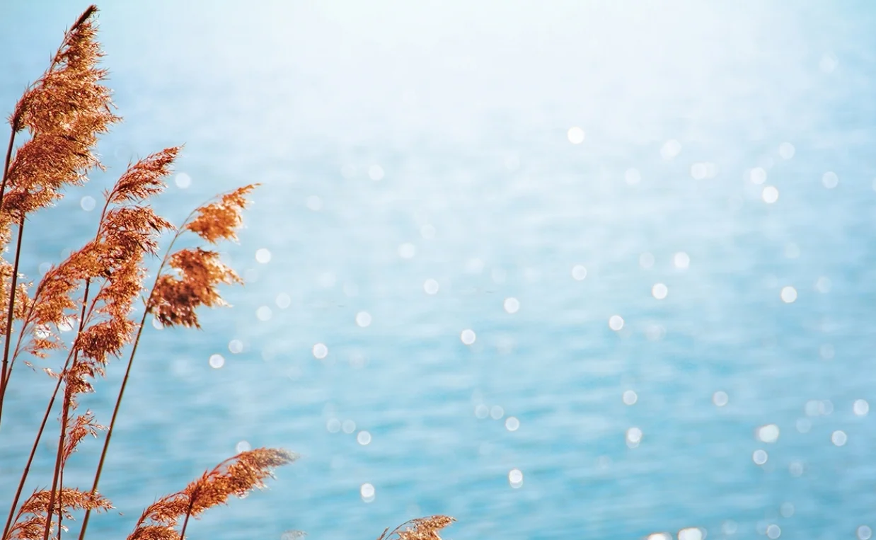 AdobeStock_43994039_RS.jpg