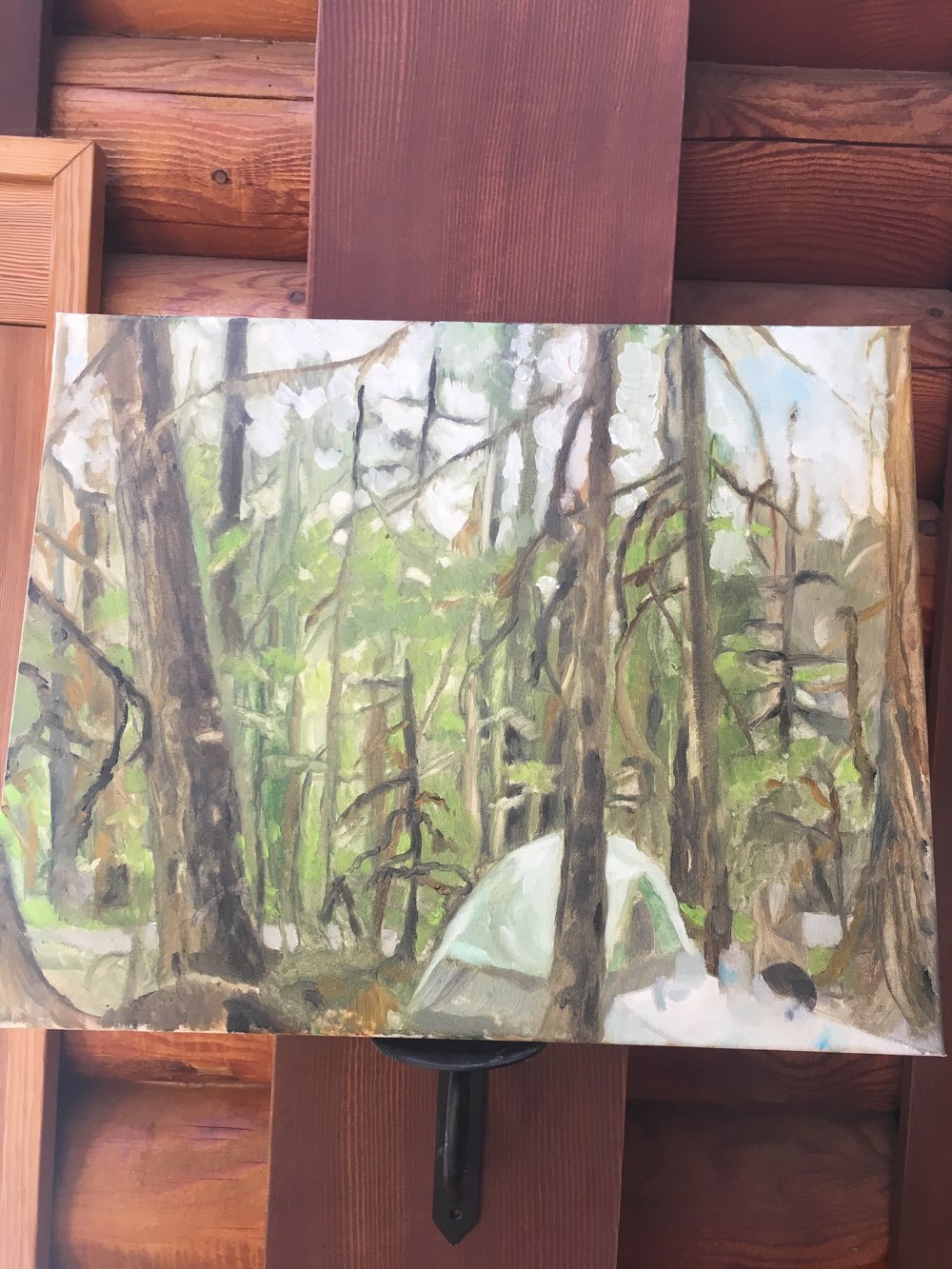 camping forest.jpeg