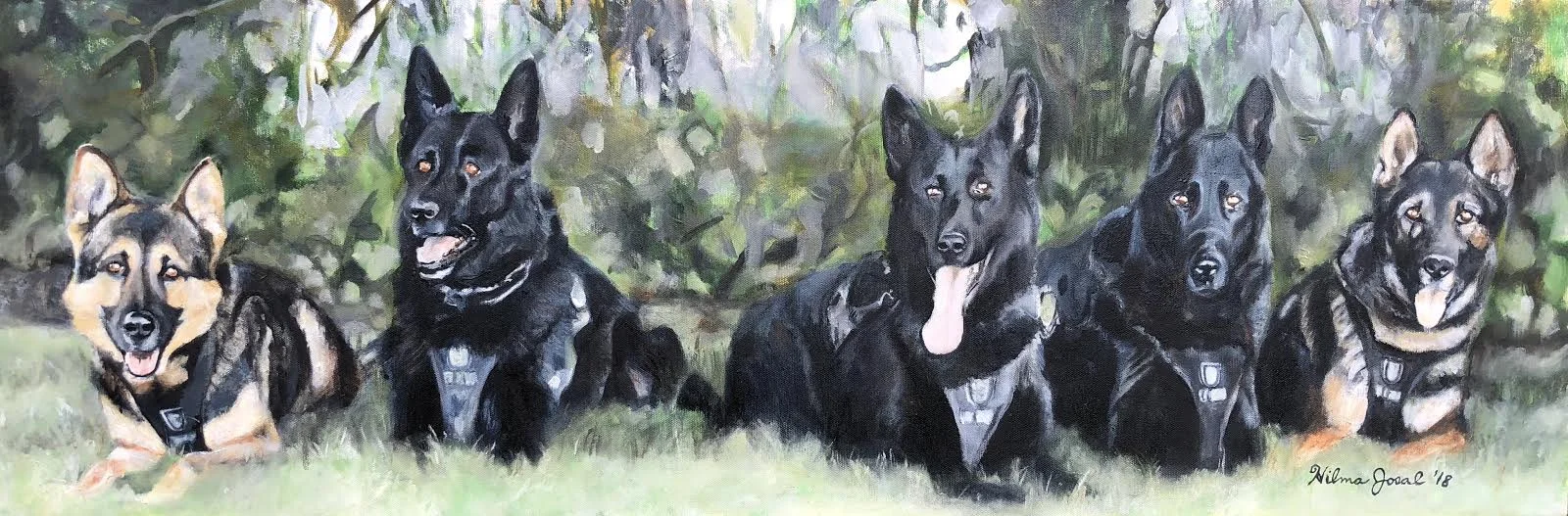 police dogs k9.jpg