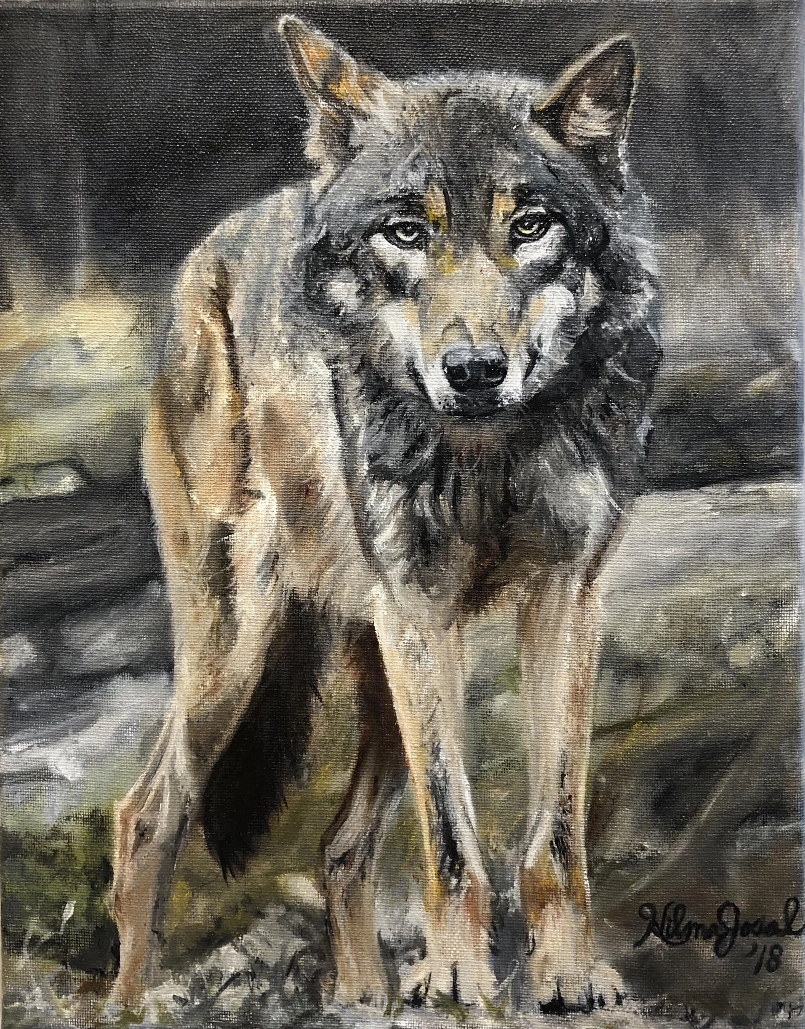 wolf.jpg