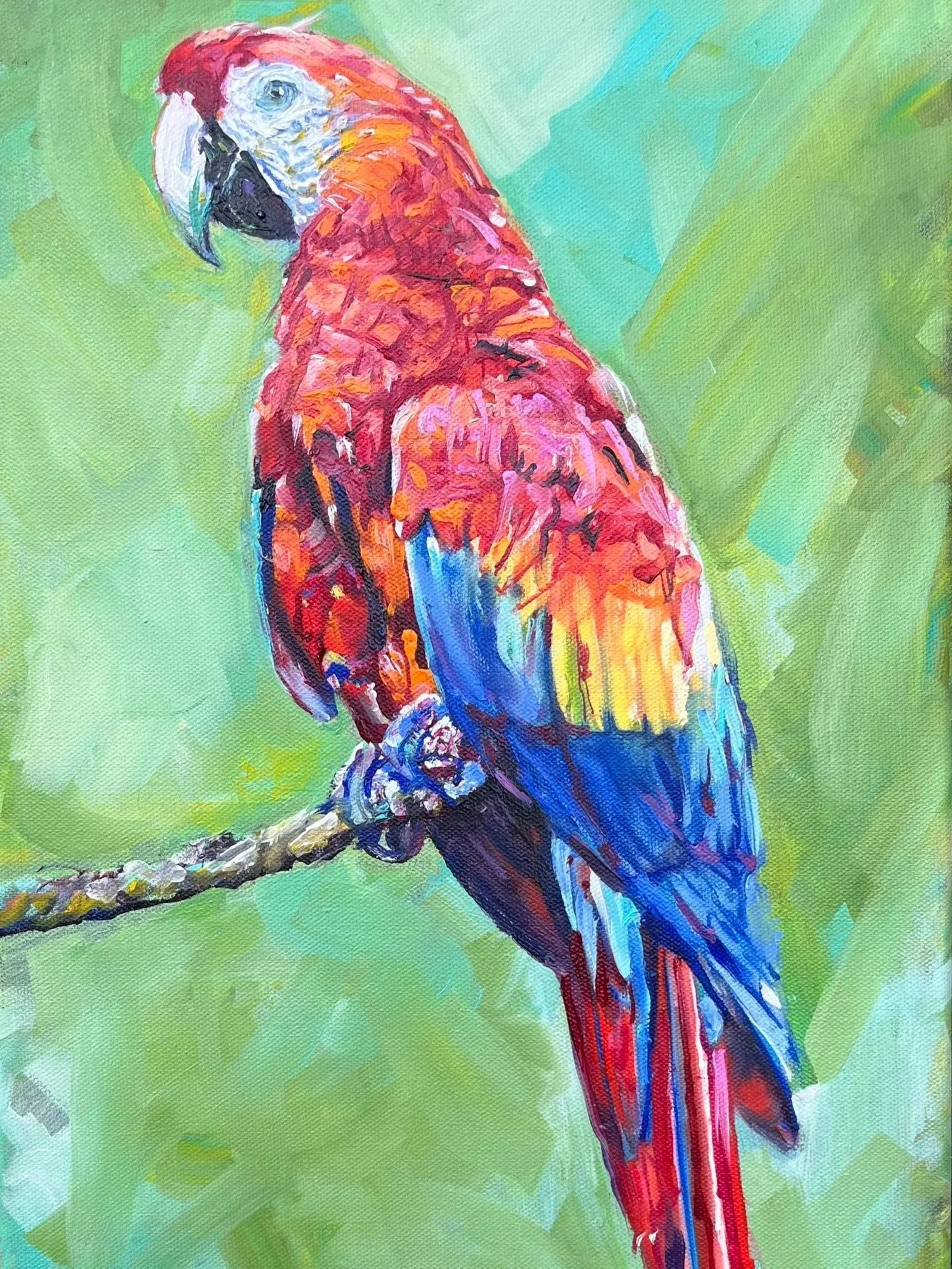 parrot3.jpg