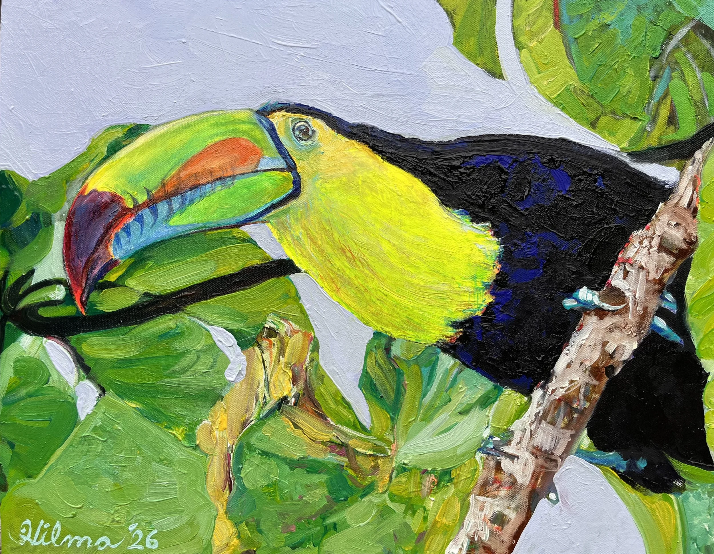 toucancrop.jpg