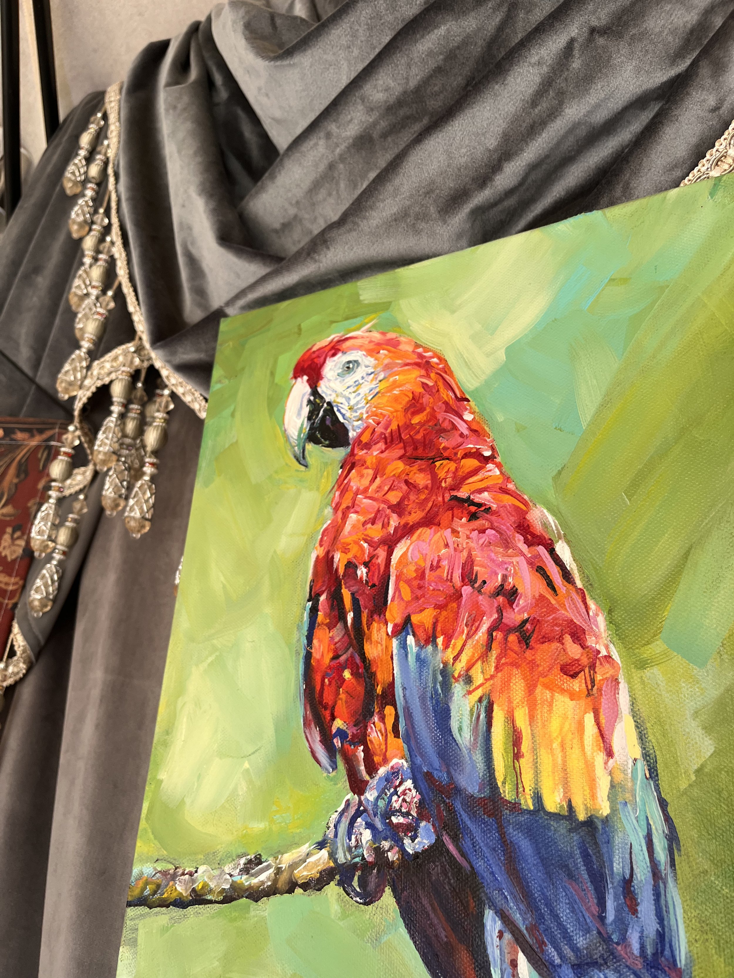 Macaw3.jpg