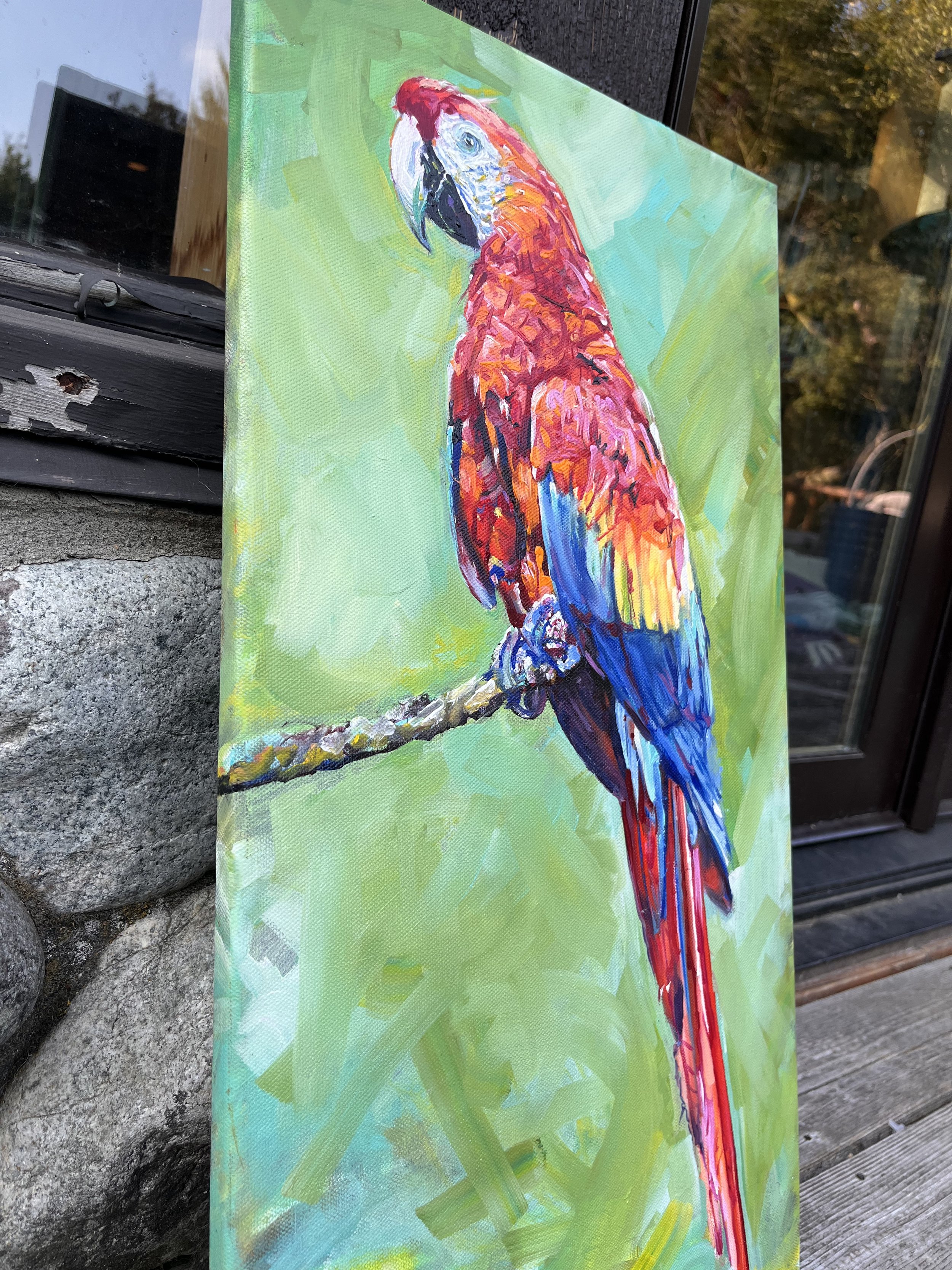 parrot9.jpg