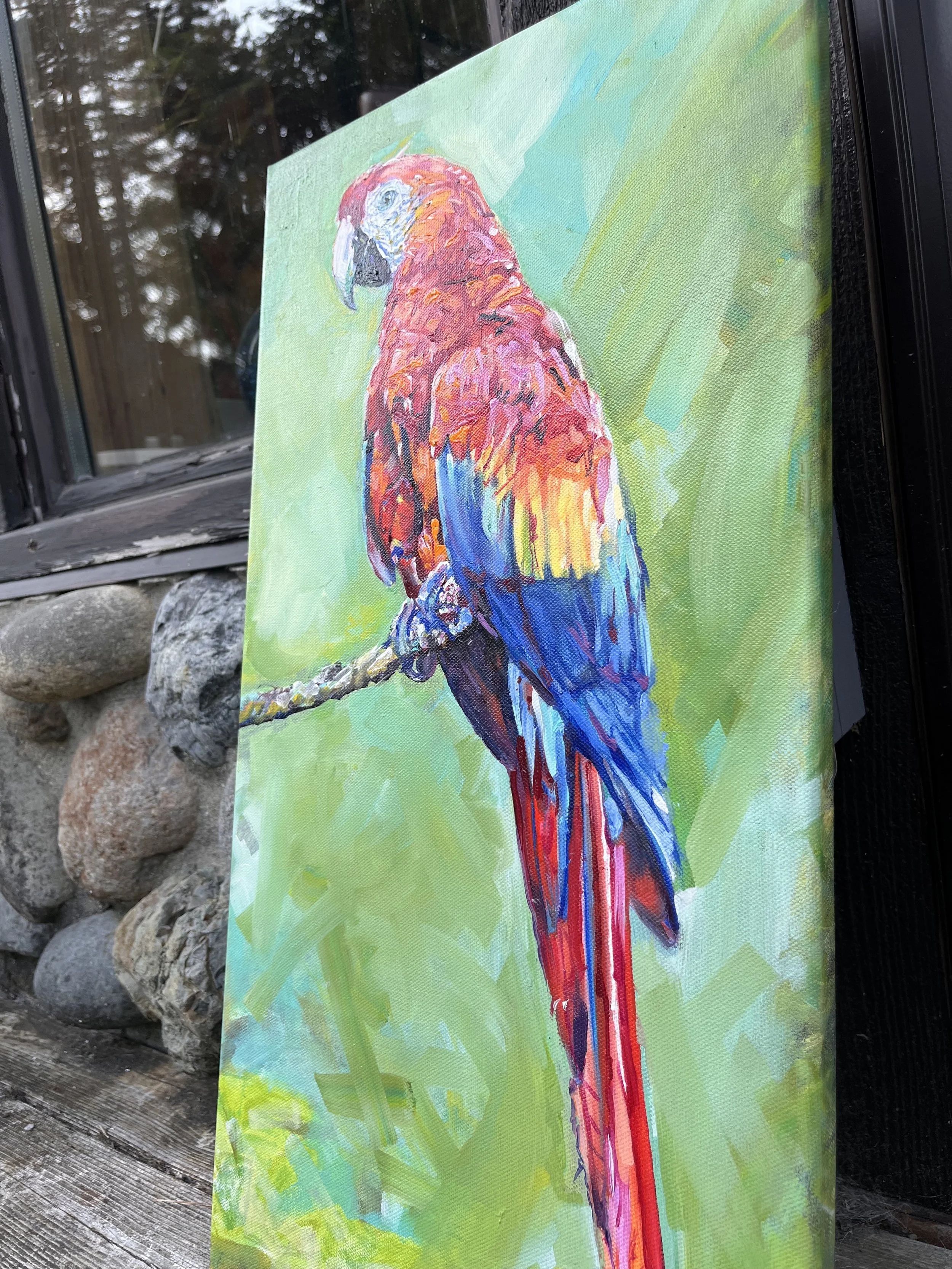 parrot8.jpg