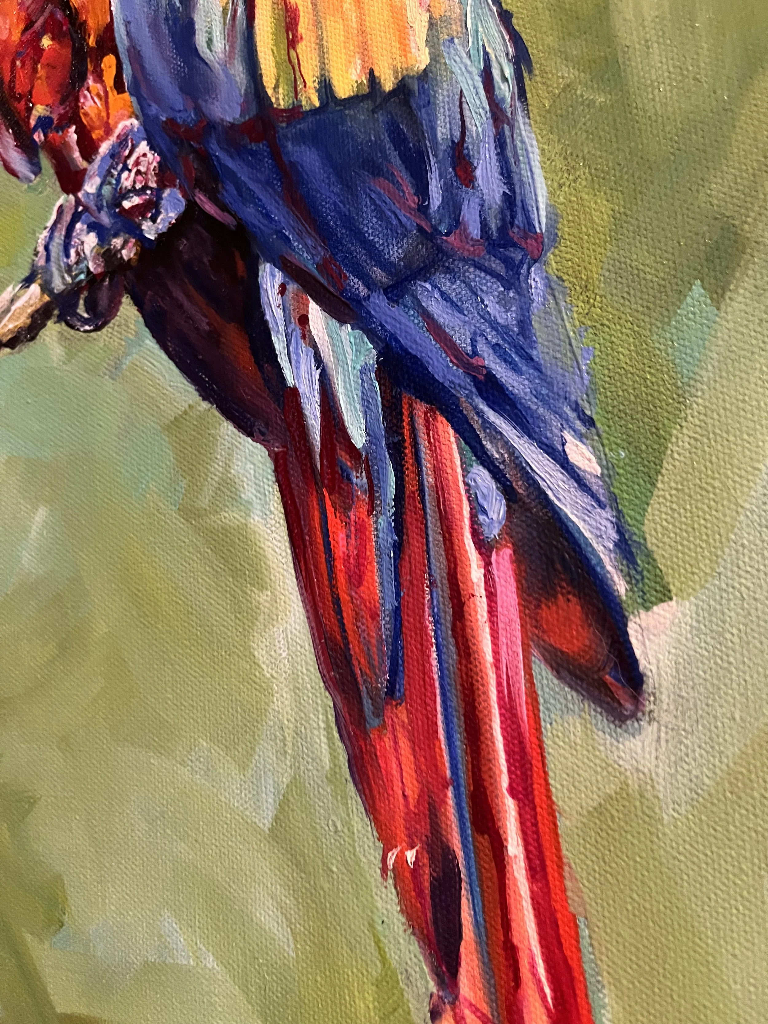 parrot2.jpg