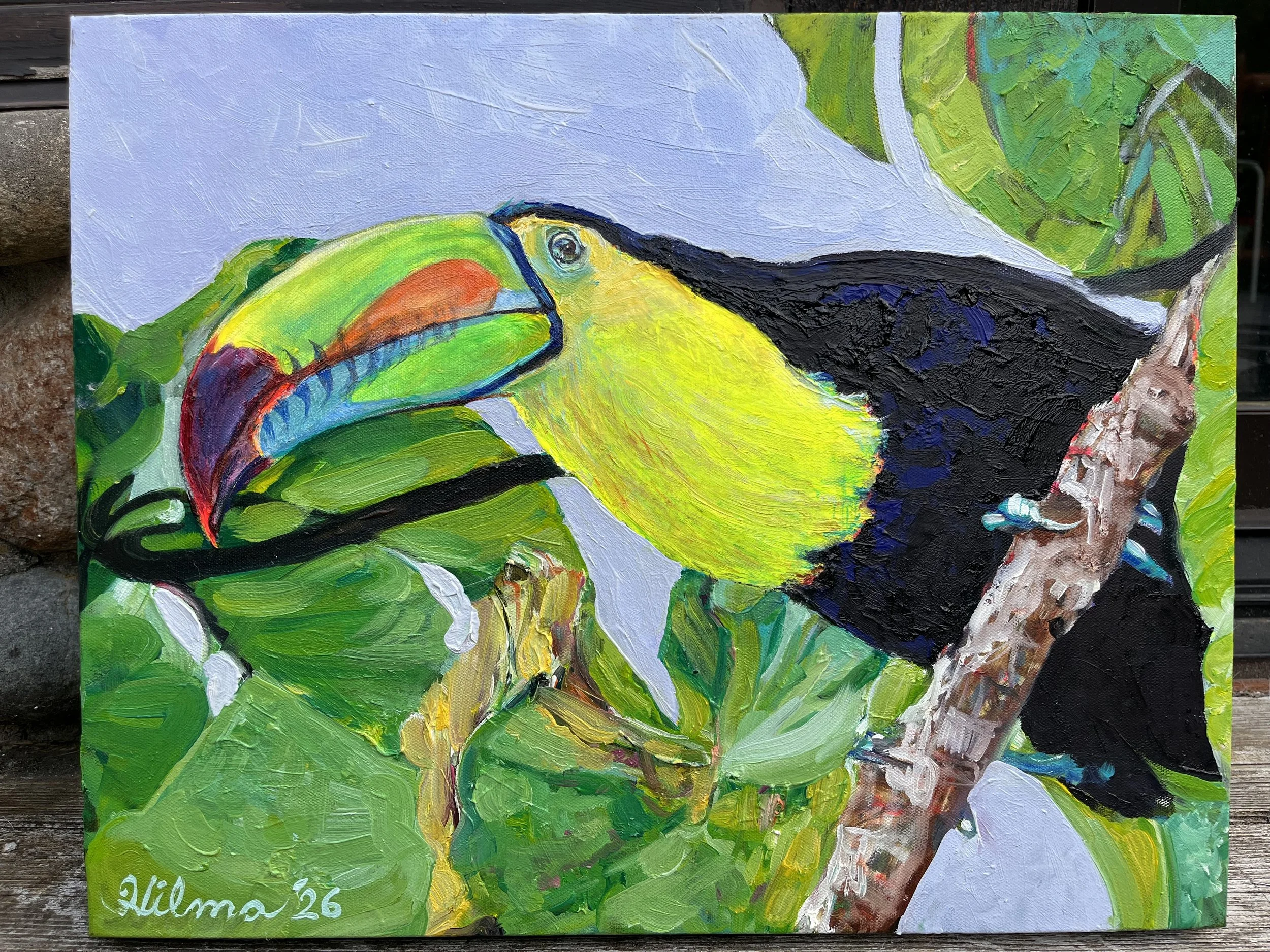 toucan.jpg