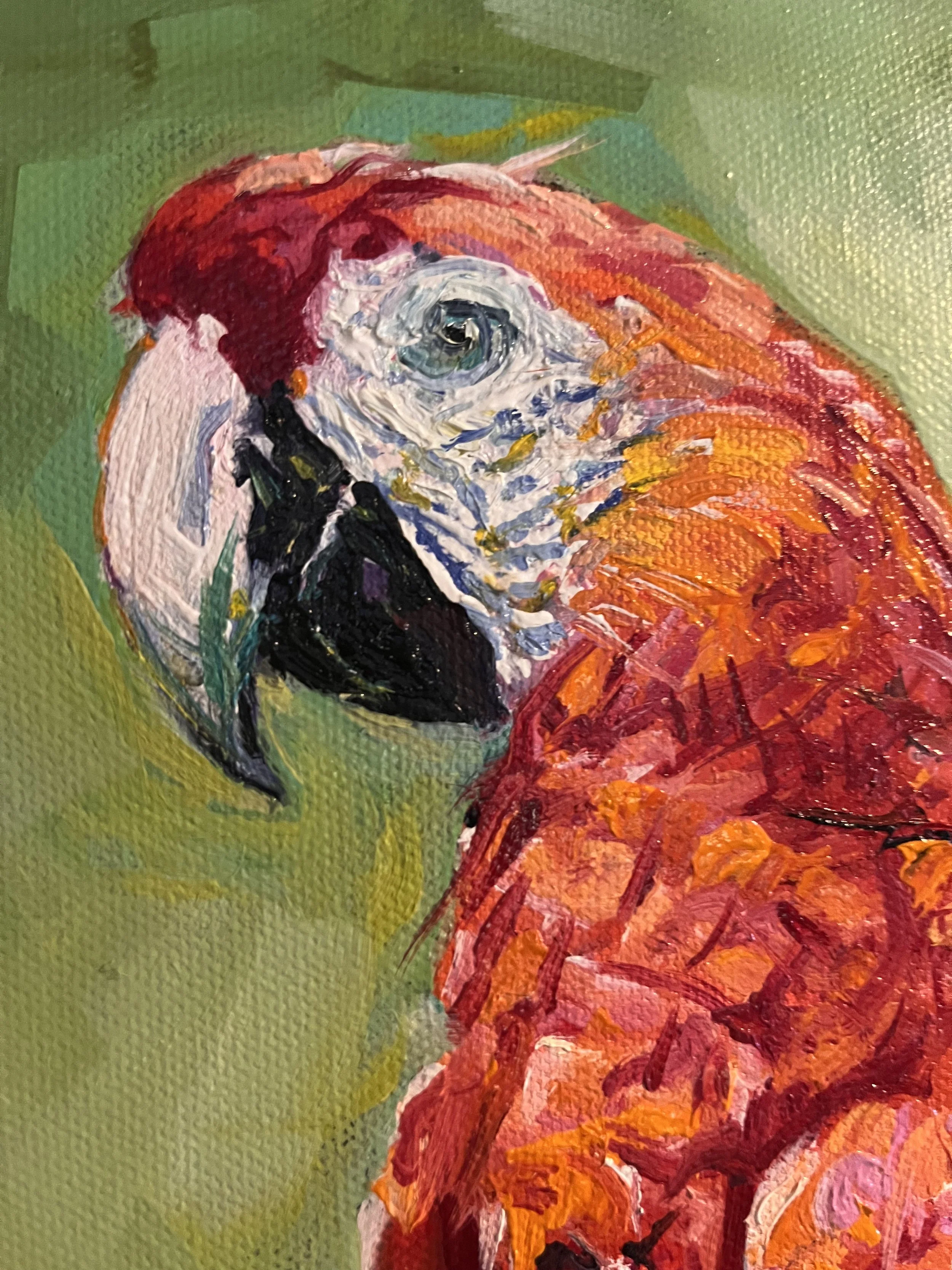parrot.jpg