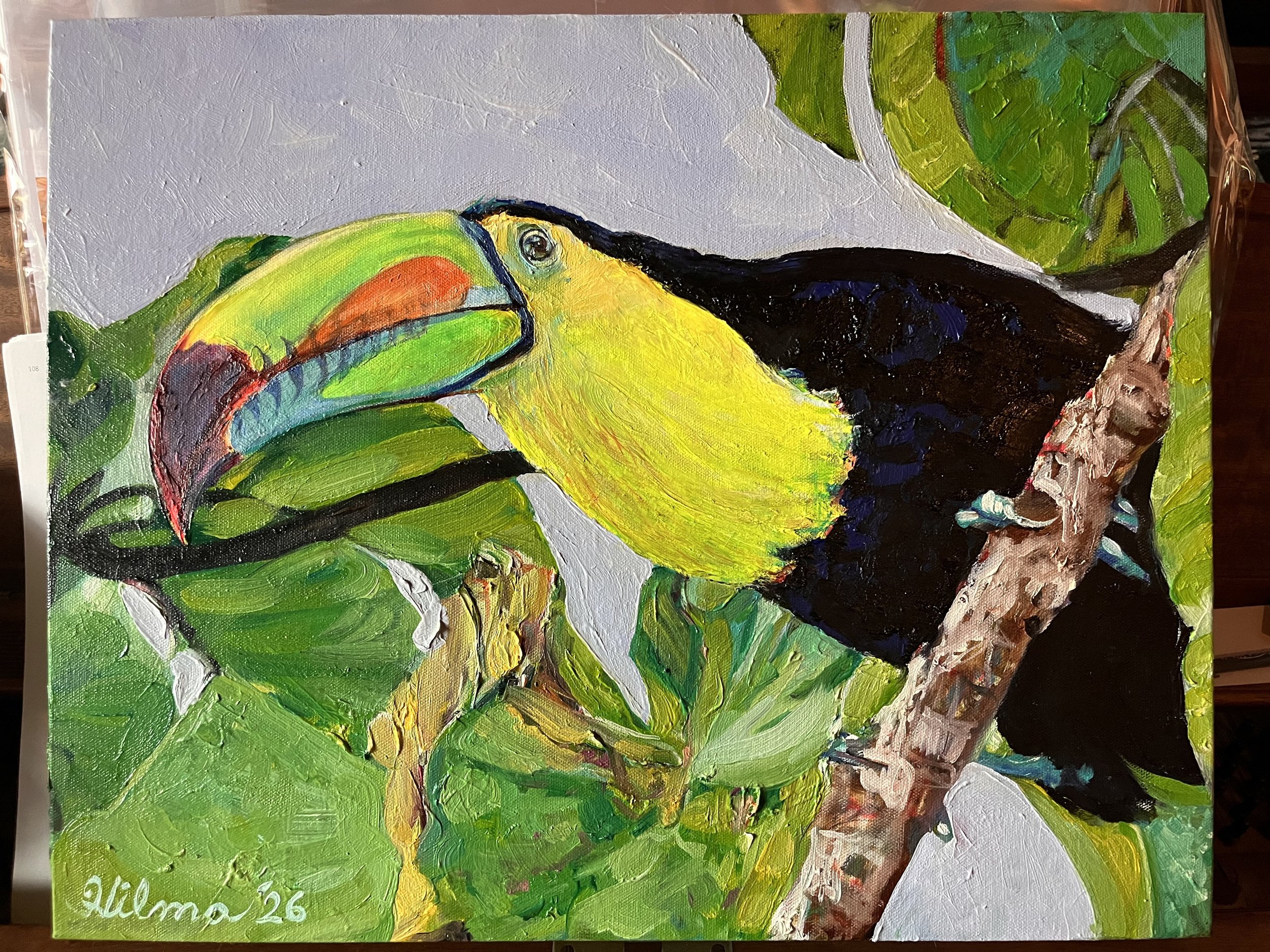 toucan3.jpg
