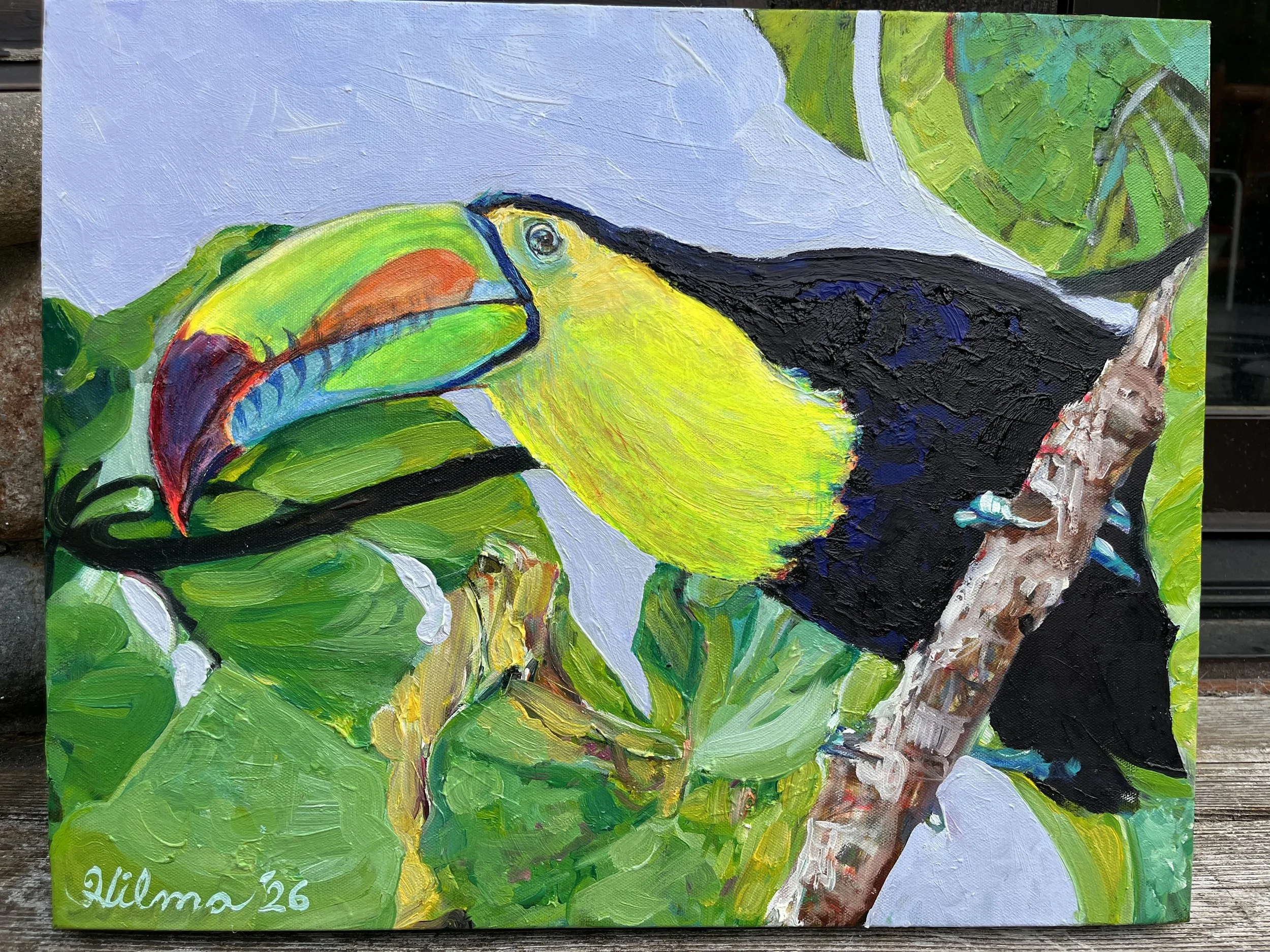 toucan2.jpg