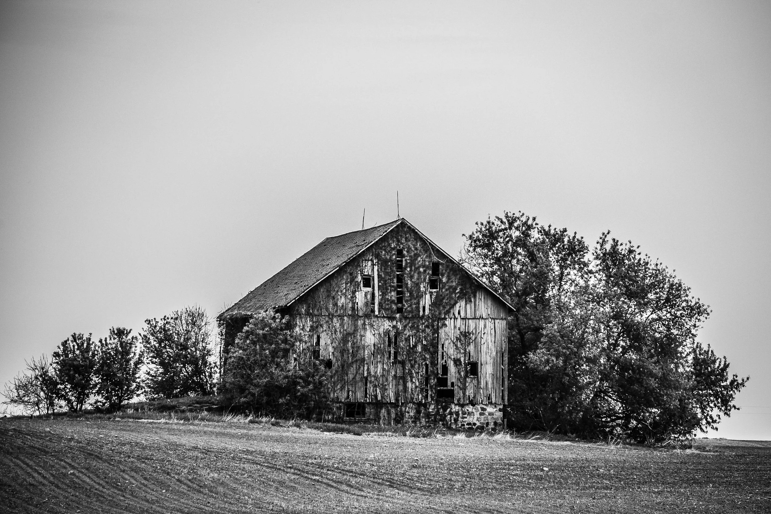 DSC_0223-2.jpg