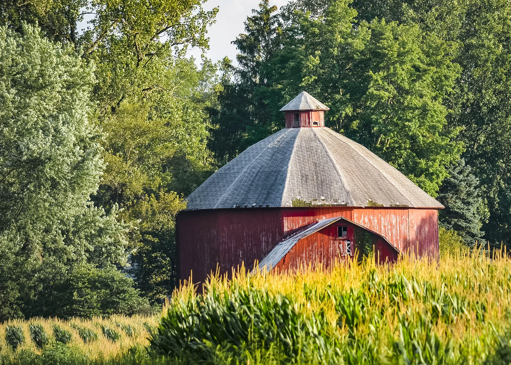 DSC_0808.jpg