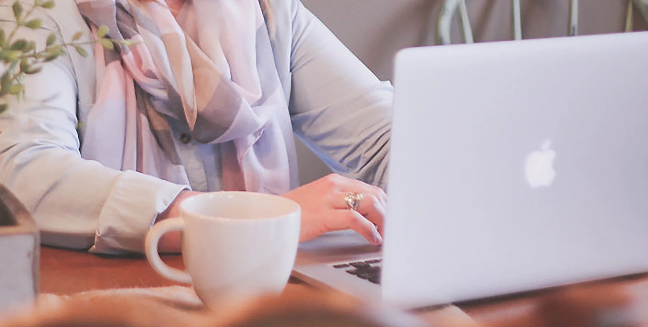 OBS creative services website crop.jpg