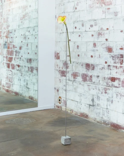 Peace Mic Silk lily, steel, aluminum, concrete and sterling silver thread, 2017.