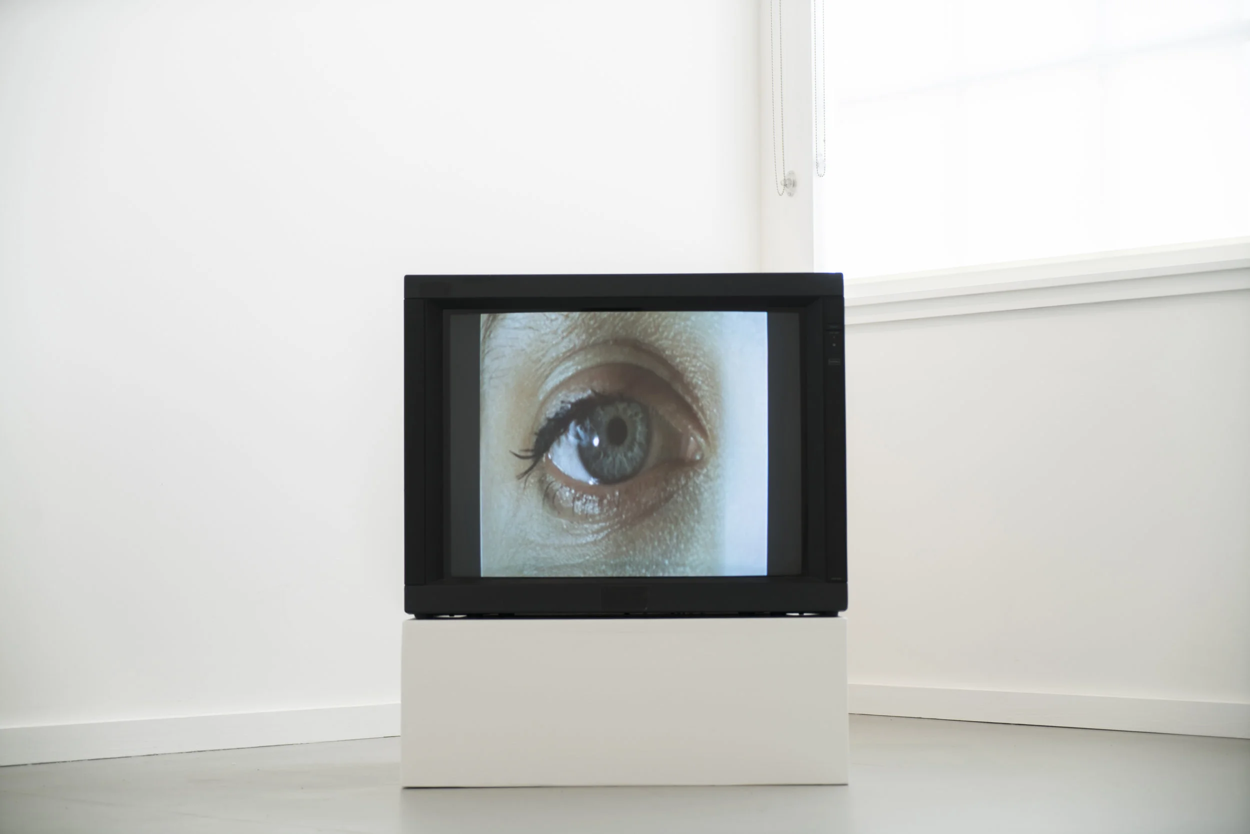 Sara Cwynar, Still, Little Video , 2015. Sony PVM Monitor. Digital video, 2m26s. Silent