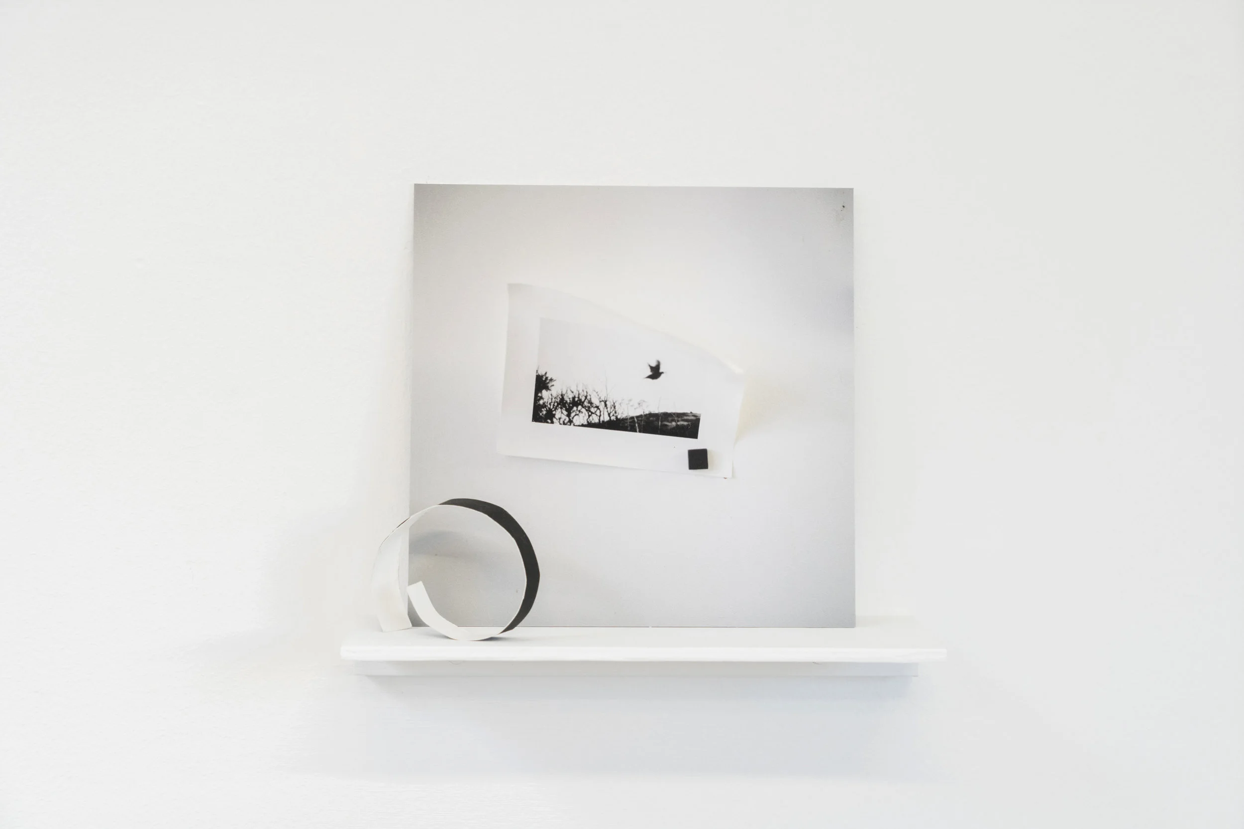 Elizabeth Bernstein, Something opened…, 2017, Archival pigment print, aluminum, wood, 10 x 8 x 3 inches.