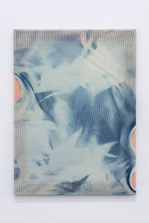 Gregory Kaplowitz, Emanations, 2017 , Cyanotype emulsion, cotton porthole mesh, acrylic, and wood supports, 22 x16 x 1 inches.