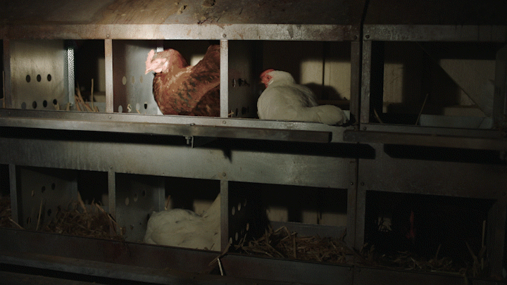 AEBDIG8167H_Mocku Longform (End Card)_218_8.gif