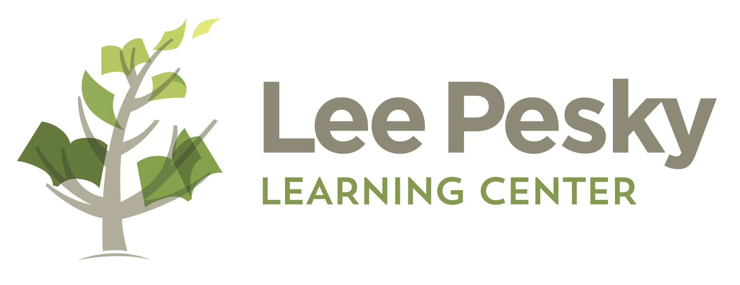 Lee Pesky Learning Center