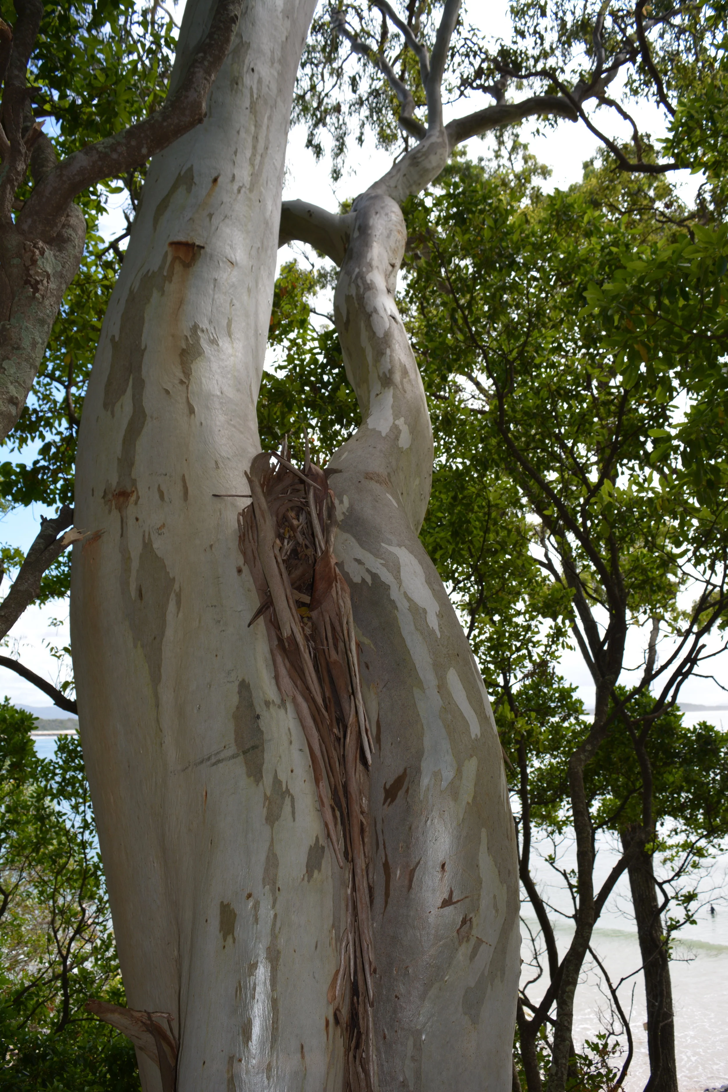 DSC_0370.JPG