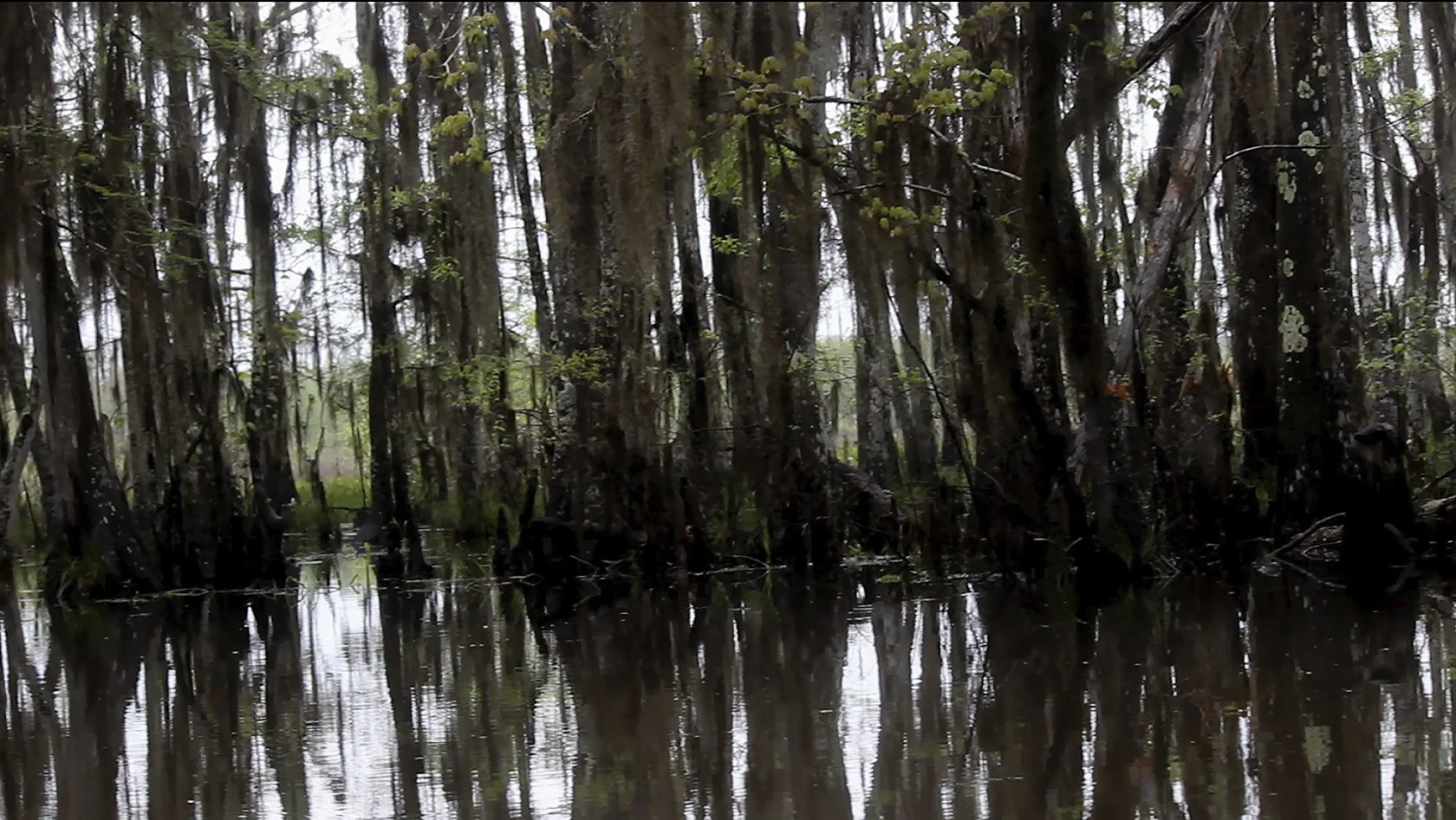 BlackRiver_still1.jpg