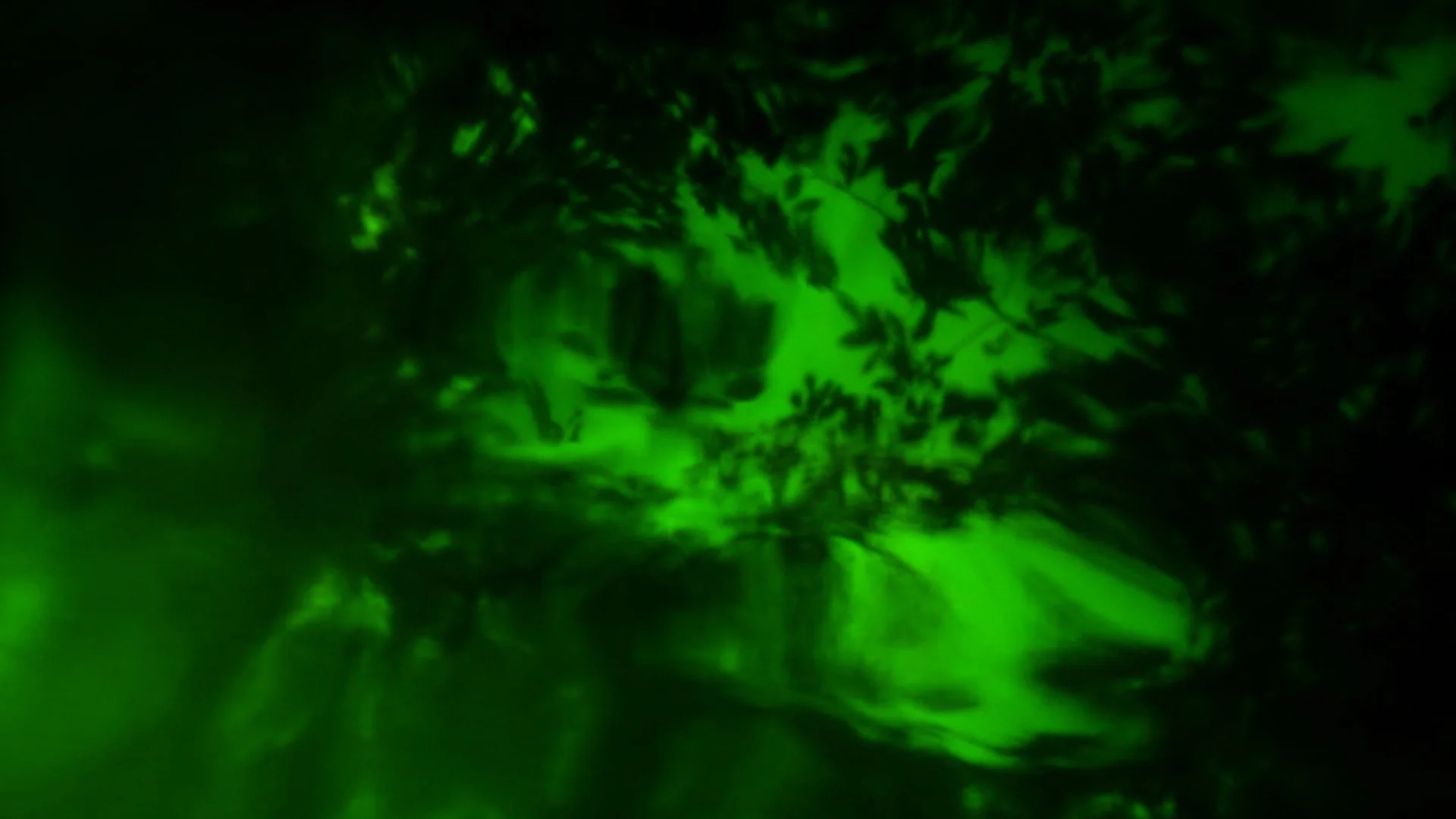 deseo_II_verde_rrose_present_3.jpg