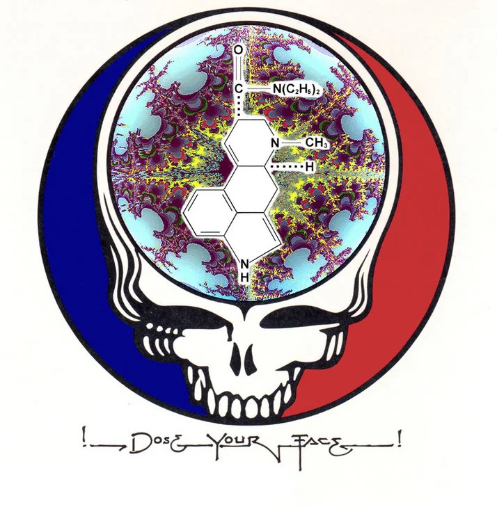 An LSD-ified Steal Your Face design that could honestly have doubled as this book's cover.