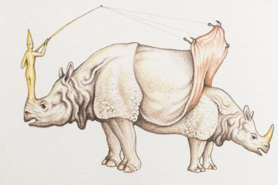 codex-seraphinianus_3.jpg
