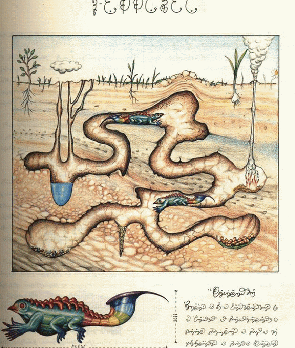 1-codex-seraphinianus.gif