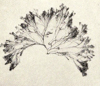 Image provided by artist