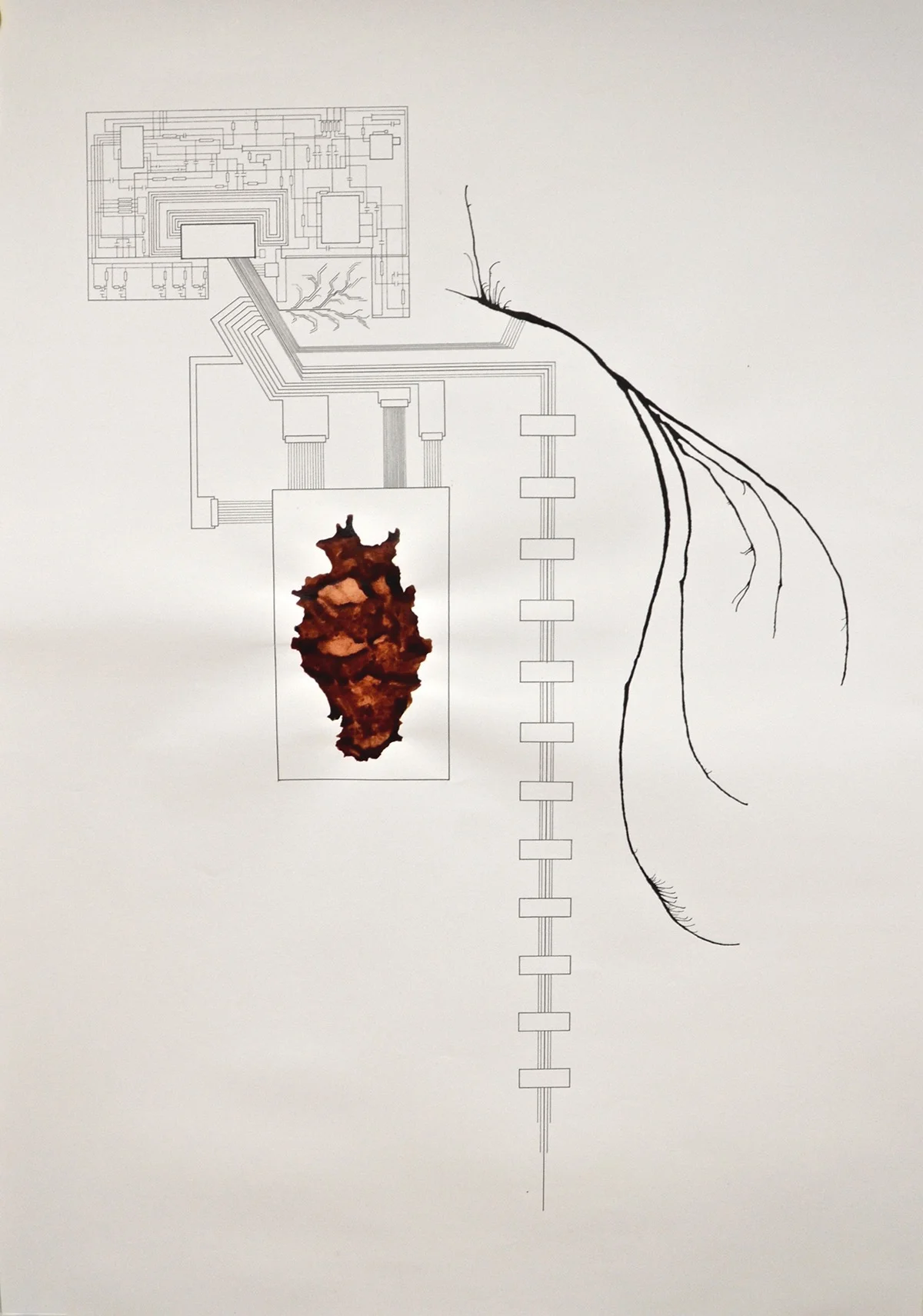 Maggie Connolly, "Untitled (Sagittal View)," Ink, Pen, and Blood; 110 x 77cm (2016)