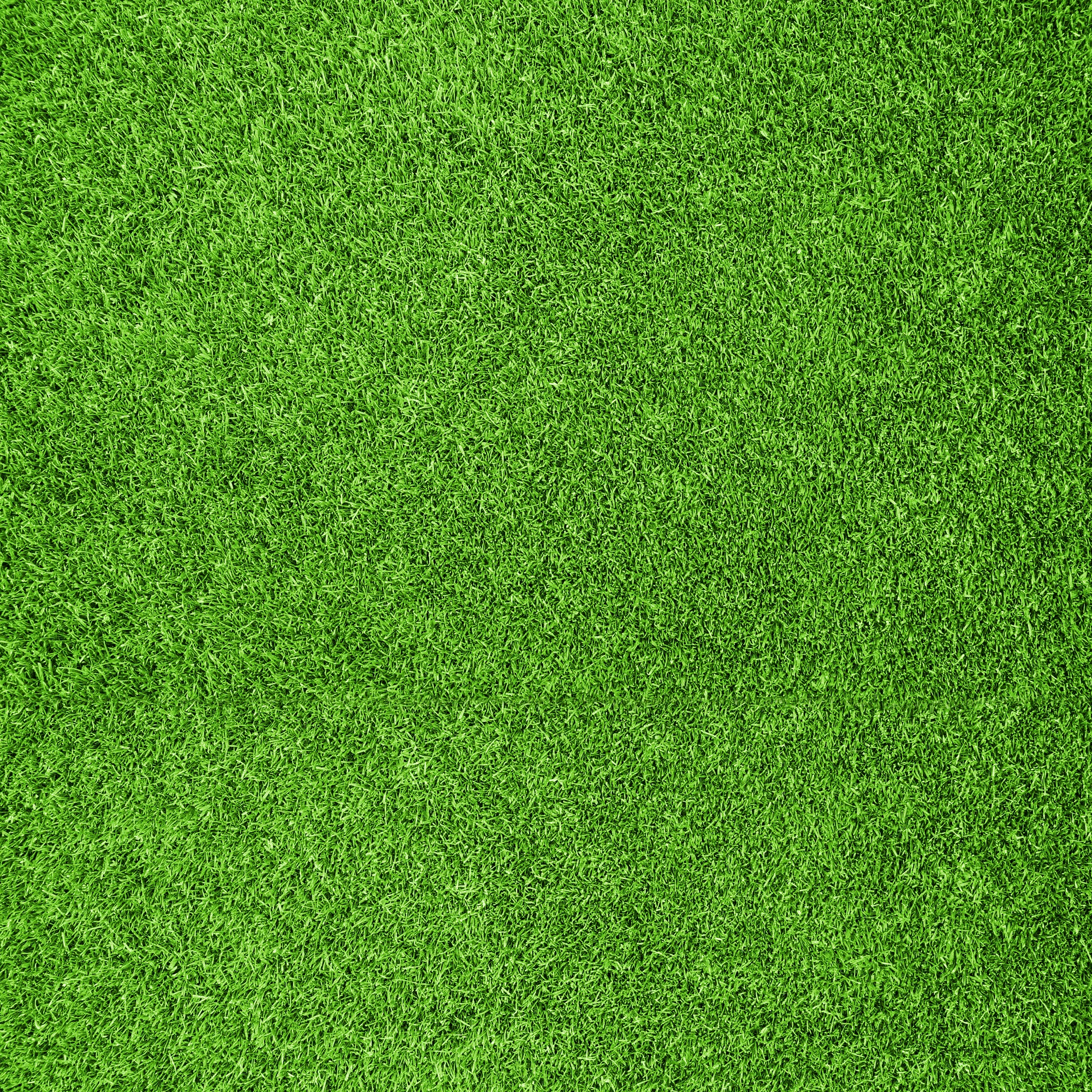 bigstock-Beautiful-green-grass-texture--16555736.jpg